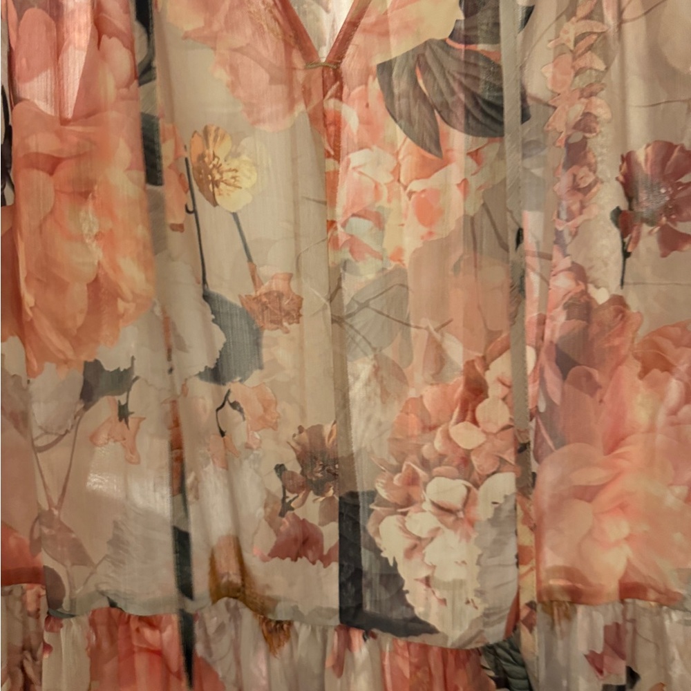H&M Sheer Floral Maxi Dress | Size XS | Color: Beige & Pinks